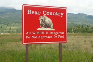 Bear Country